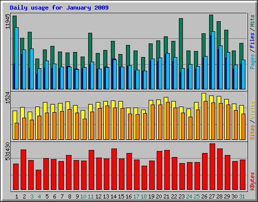 Daily usage for January 2009