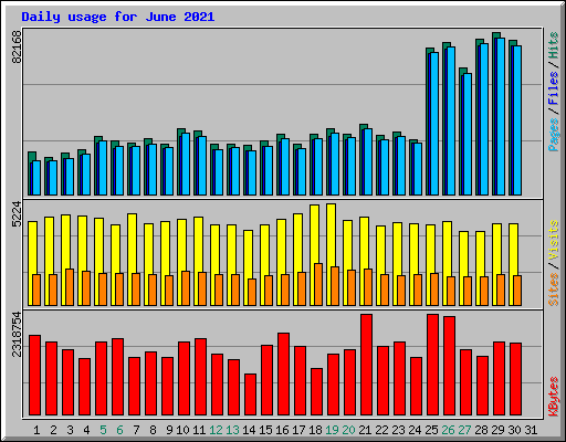 Daily usage for June 2021