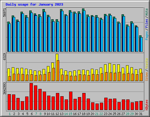 Daily usage for January 2023