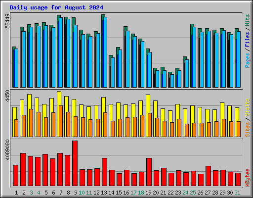 Daily usage for August 2024