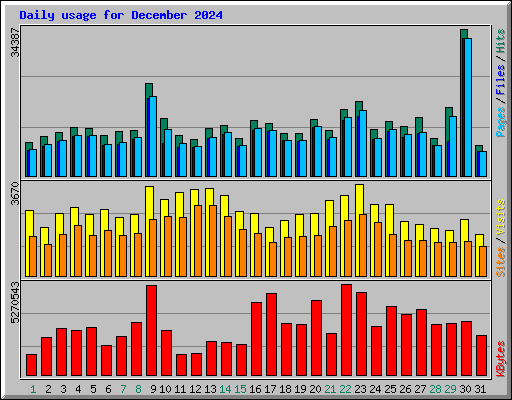 Daily usage for December 2024