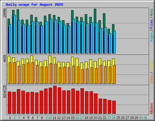 Daily usage for August 2025
