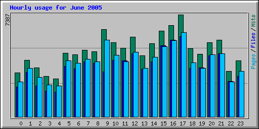 Hourly usage for June 2005