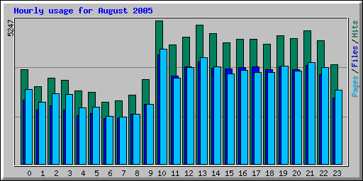 Hourly usage for August 2005