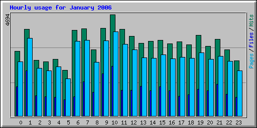 Hourly usage for January 2006