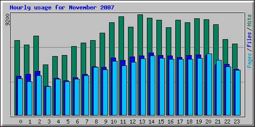 Hourly usage for November 2007