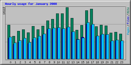 Hourly usage for January 2008