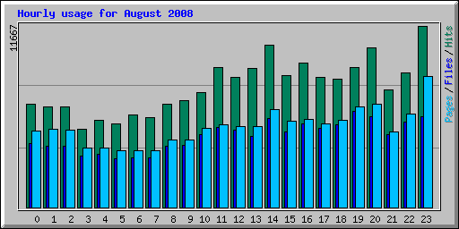 Hourly usage for August 2008