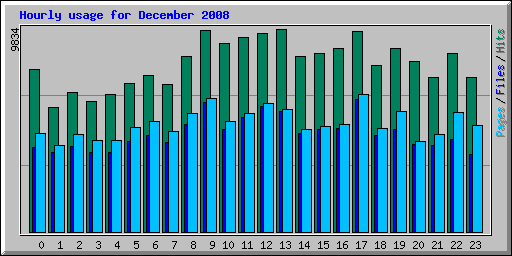 Hourly usage for December 2008