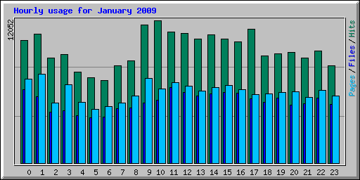 Hourly usage for January 2009