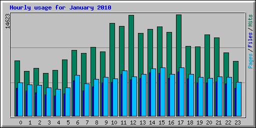 Hourly usage for January 2010