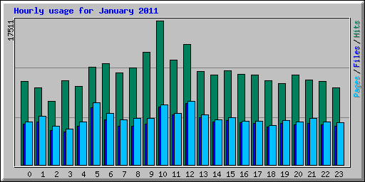 Hourly usage for January 2011