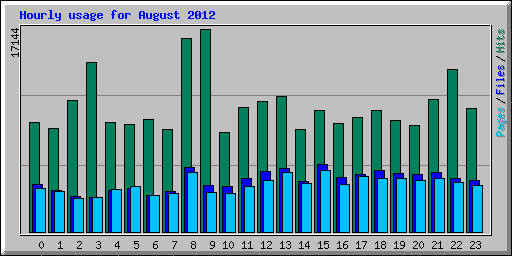 Hourly usage for August 2012