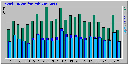 Hourly usage for February 2016