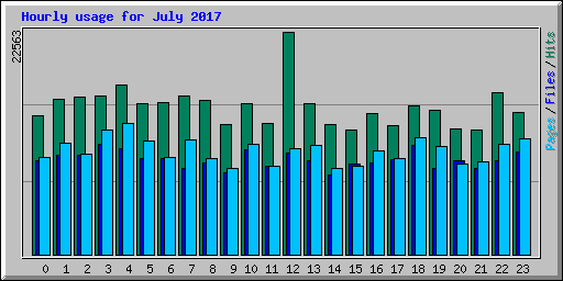 Hourly usage for July 2017