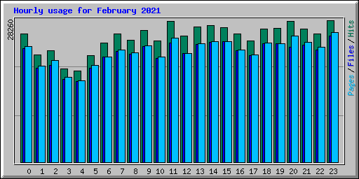 Hourly usage for February 2021