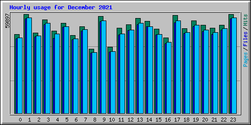 Hourly usage for December 2021