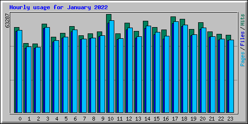 Hourly usage for January 2022