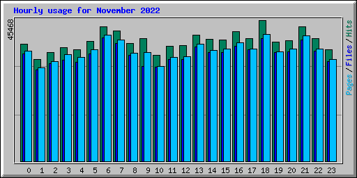 Hourly usage for November 2022