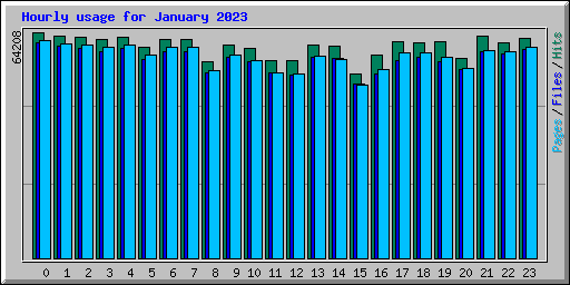 Hourly usage for January 2023