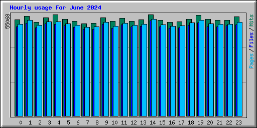 Hourly usage for June 2024