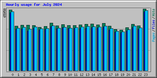 Hourly usage for July 2024