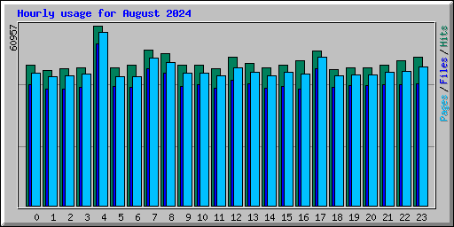 Hourly usage for August 2024