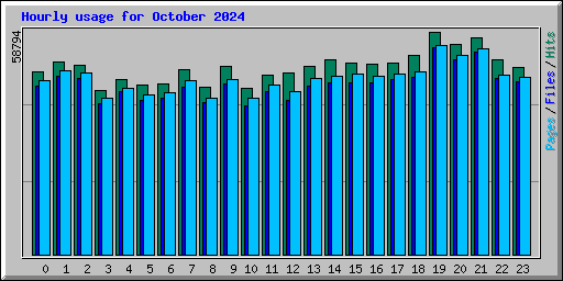 Hourly usage for October 2024