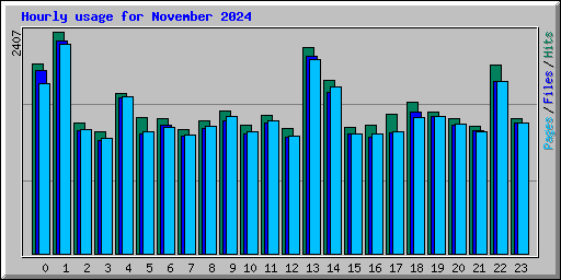 Hourly usage for November 2024