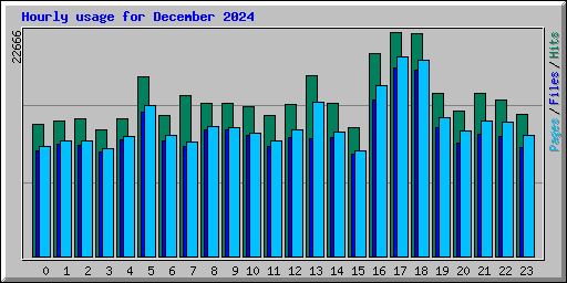 Hourly usage for December 2024