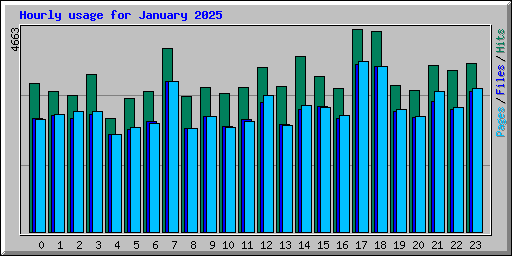 Hourly usage for January 2025