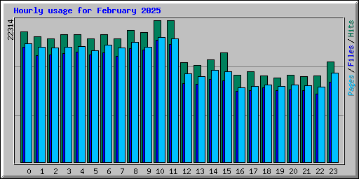 Hourly usage for February 2025