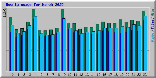 Hourly usage for March 2025