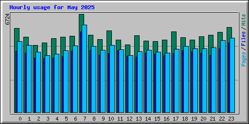 Hourly usage for May 2025