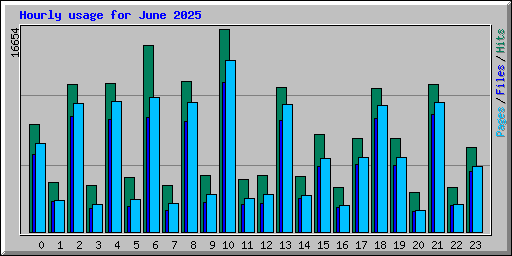 Hourly usage for June 2025