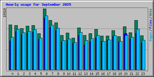 Hourly usage for September 2025