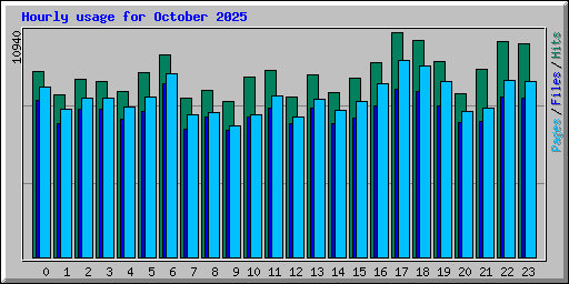 Hourly usage for October 2025