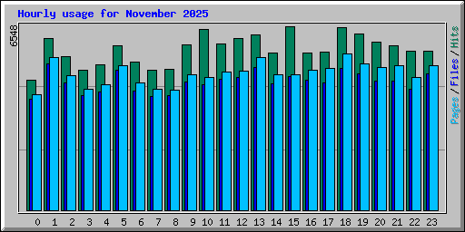 Hourly usage for November 2025