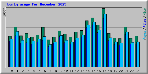 Hourly usage for December 2025