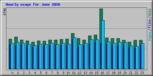 Hourly usage for June 2026