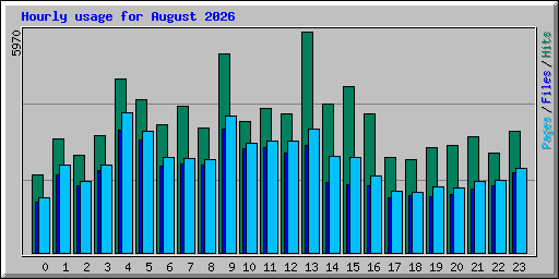 Hourly usage for August 2026